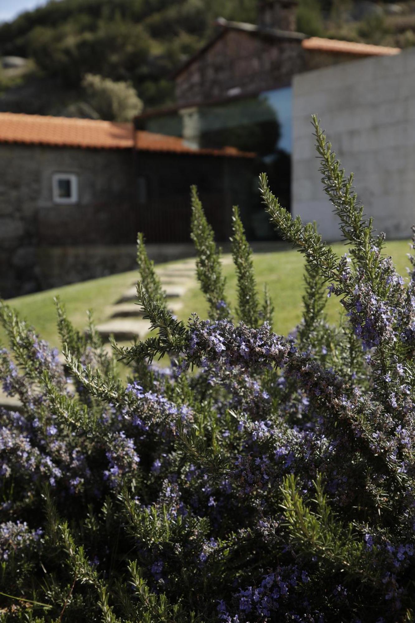 Geres - Leiras Do Tempo - Cottages Brufe Bagian luar foto